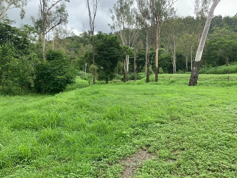 A Very Tidy Acreage Block On Paluma Road Woodwark