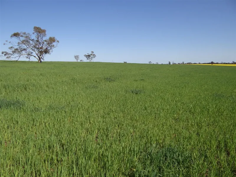 Prime Farming Land