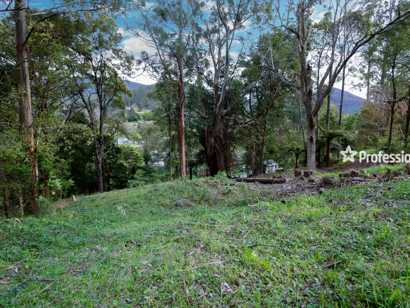 YOU WON'T FIND ANOTHER LIKE IT!!!