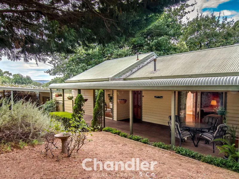 Ideal for Starting Out or Scaling Down 