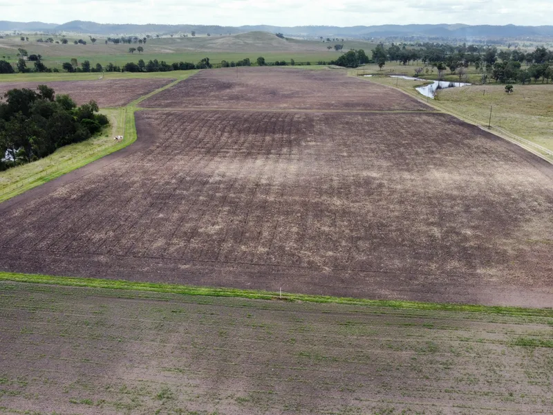 Picturesque Irrigation and Grazing