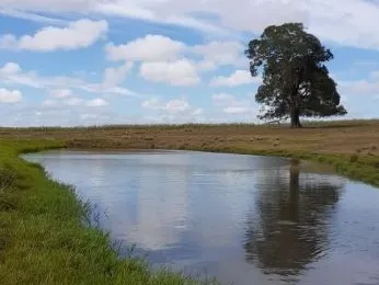 Brooklyn Park: Cropping & Grazing