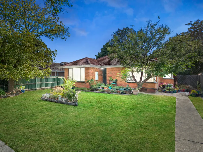 Sunny start on garden allotment in paces of schools