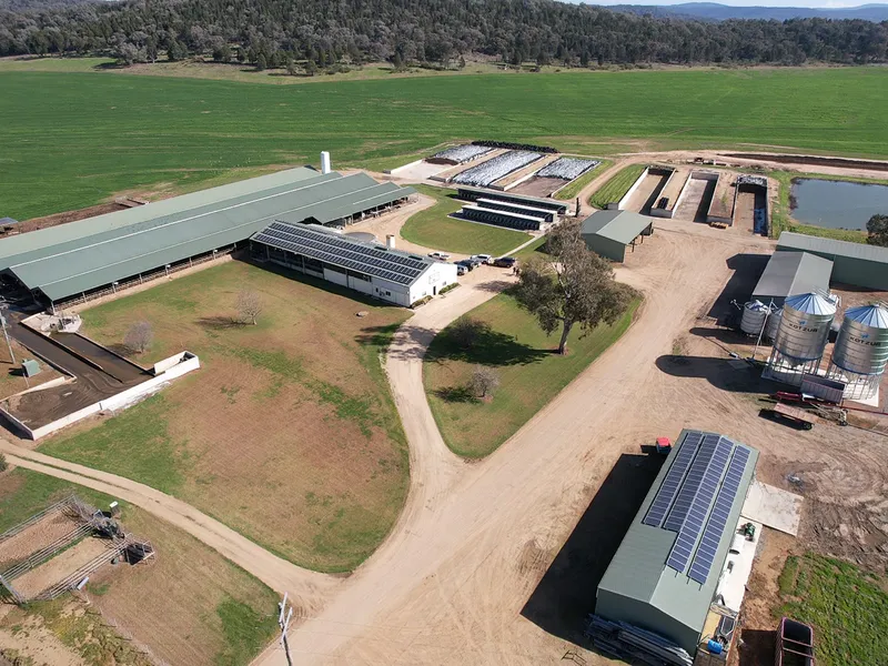 Silvermere Holsteins