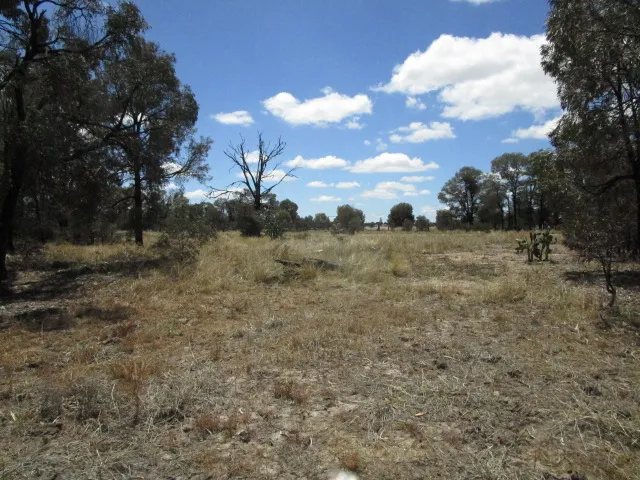 ONLY PARCELS OF LAND WITH ACCESS TO TOWN WATER, FULLY FENCED