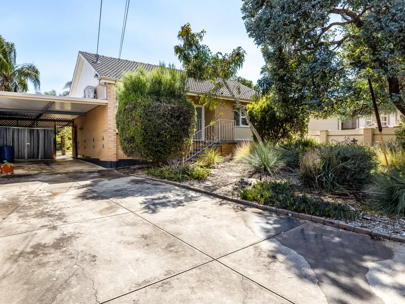 The opportunities are endless on Cortina… 