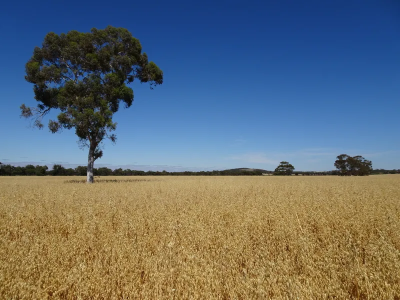 Productive Add On Block Near Narrogin