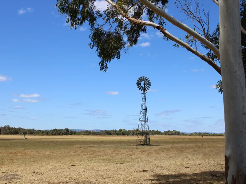 WHAT YOU SEE IS WHAT YOU GET