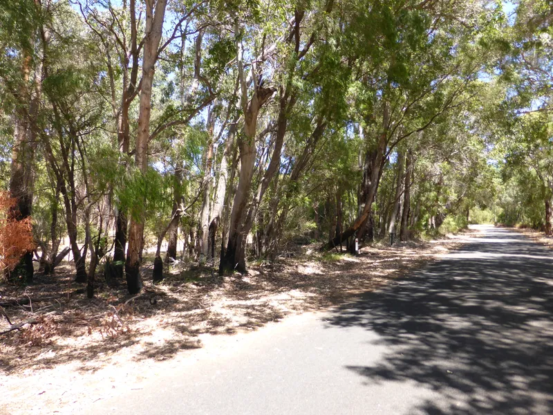 Small Acreage Hideaway!