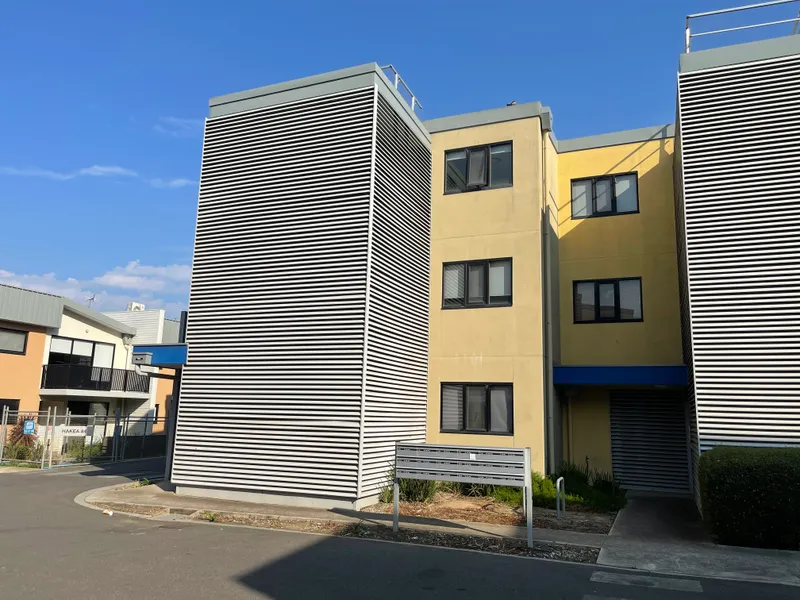 Everything You Need!