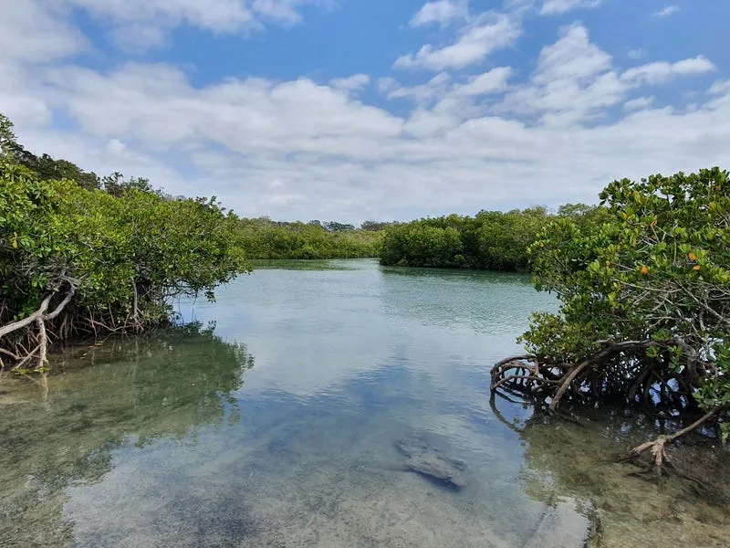 1 ACRE COASTAL DELIGHT!