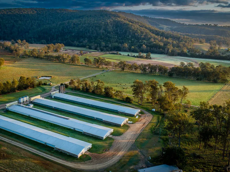 Kirchberg Poultry Farm - Agribusiness investment opportunity