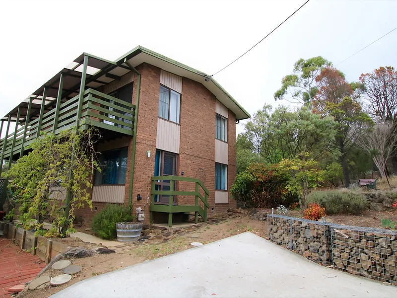 Look Out On The World 