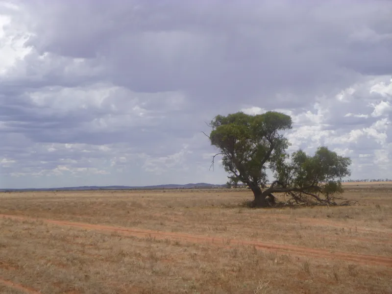 'HELWIG'S' 1176.38 HA (approx. 2906AC)