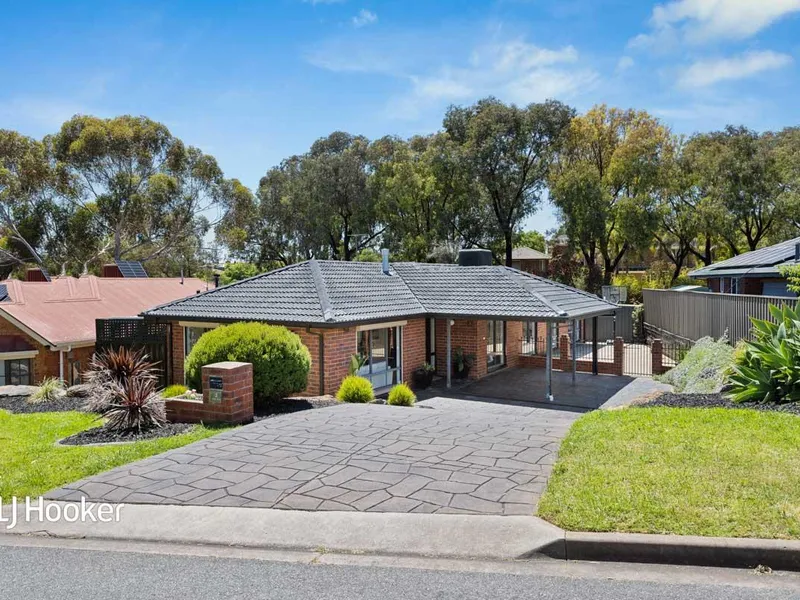 The One You’ve Been Waiting For!