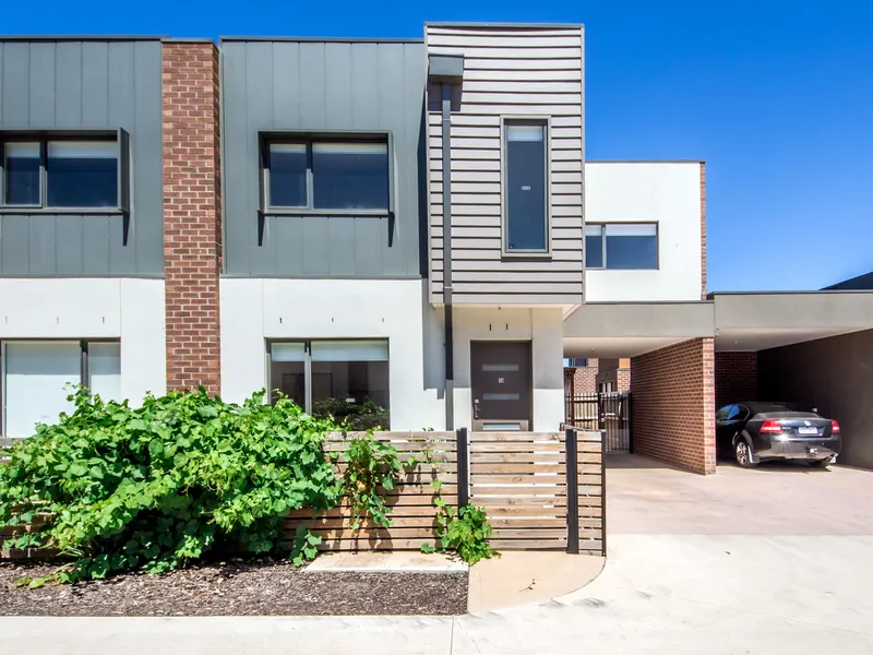 Large Light Filled Modern Townhouse