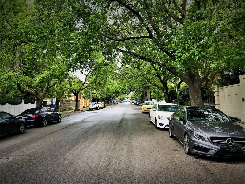 Freshly renovated apartment in a beautiful tree-lined street