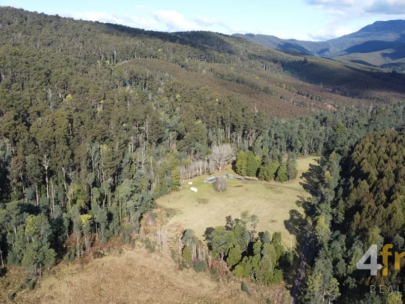 65 acres of peace and privacy