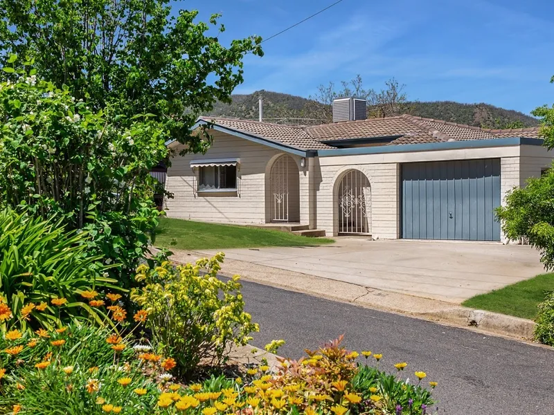 Open Spaces in the trees