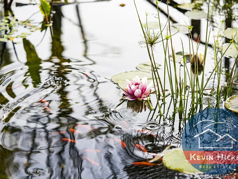 Modern Living with Urban Backyard