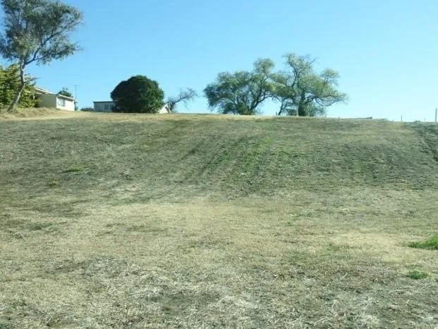 Elevated Block With Views