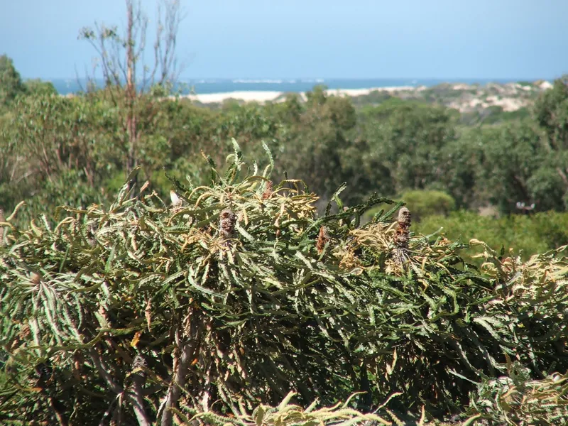 Ocean Views with Room to Move