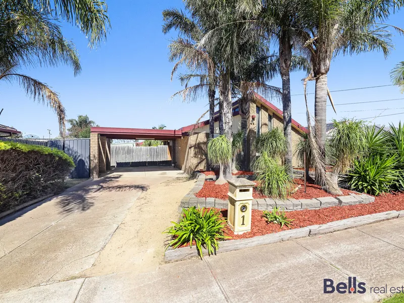 Affordable Entry, Wise Investment