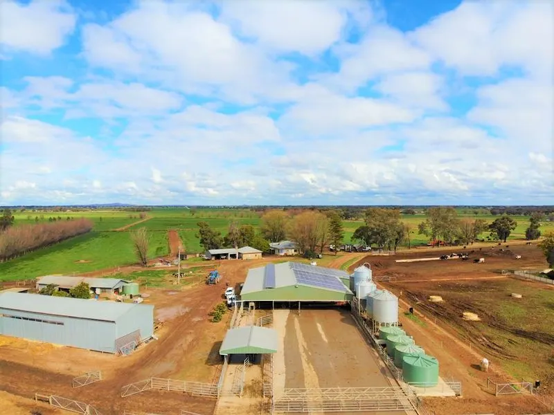 Prestige Dairy with Scale