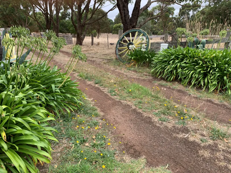 Hobby Farm on the Edge of Town