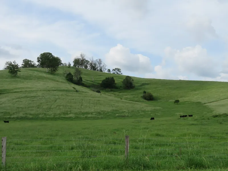 Kyogle Region