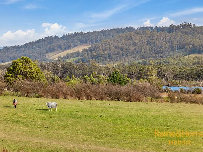 Exciting Rural Opportunity!