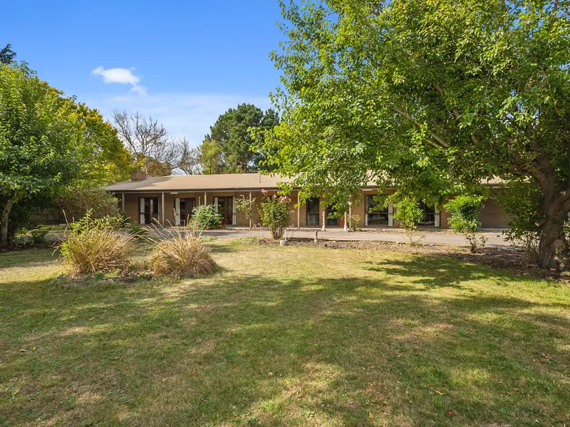 Great family living with great potential.