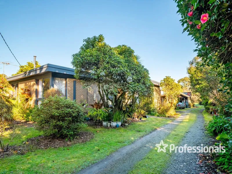 COUNTRY CHARM WITH MODERN POTENTIAL!