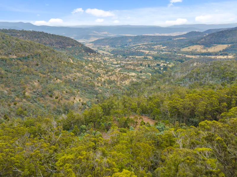 Privacy, Captivating Views & Space Awaits!