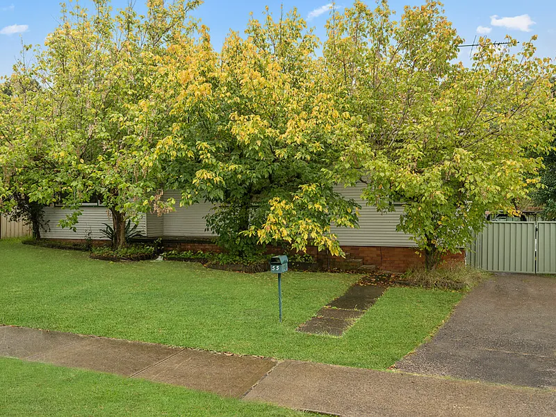 B4 Mixed Use| 1556sqm