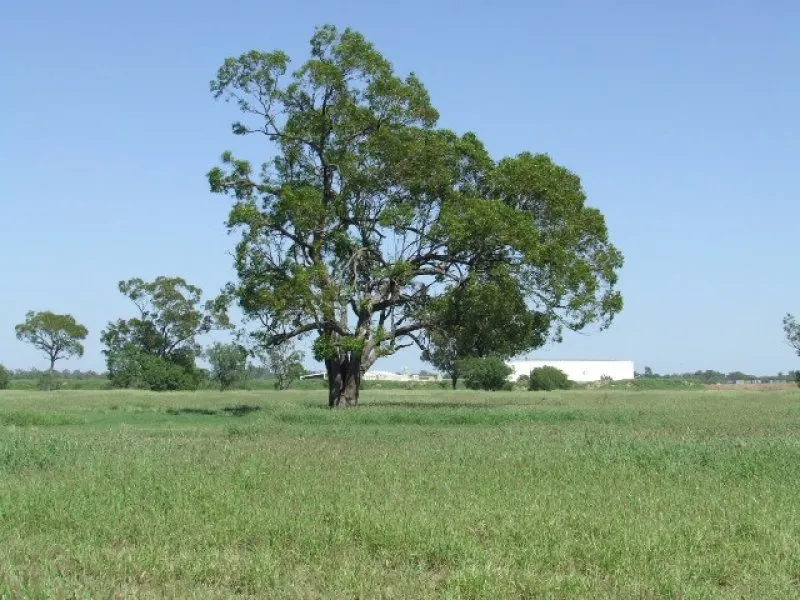 Capitalise on the $15,000 Government Grant !!!!!