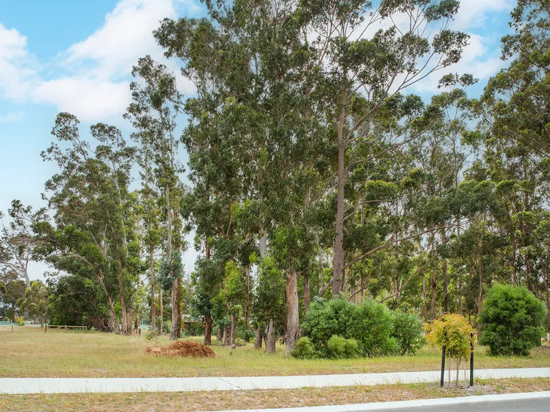 SOUTH WEST TREESCAPE