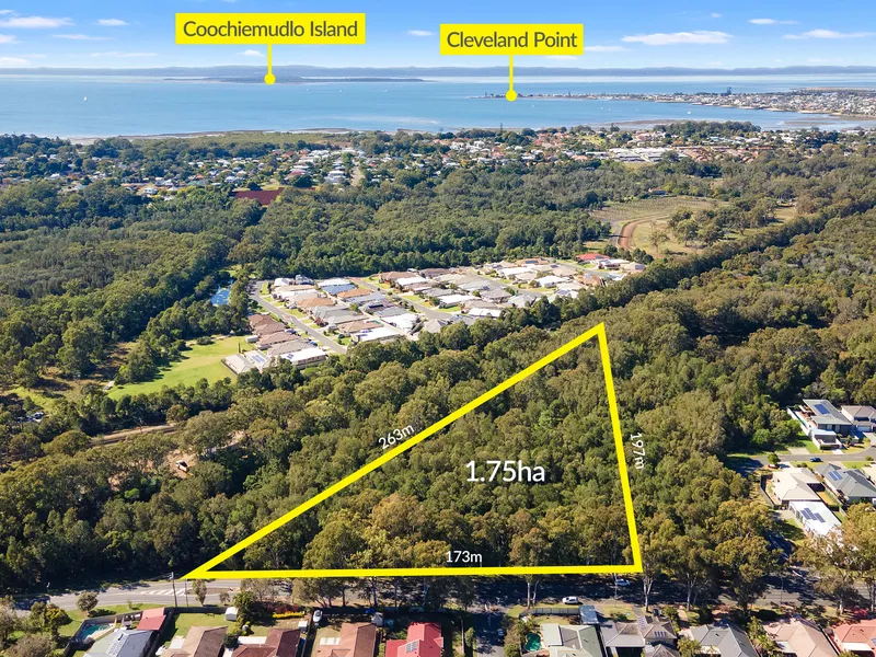 What would you do with this?