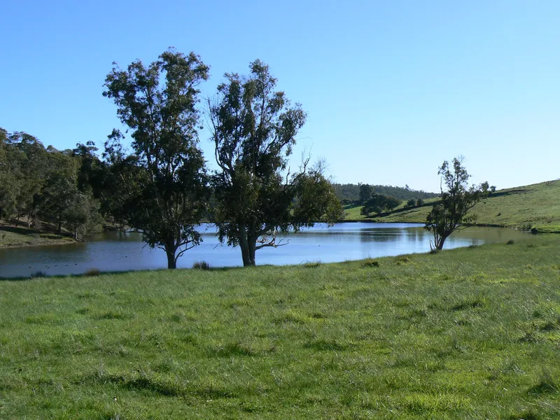 BEAUTIFUL SURROUNDS AND AN ABUNDANCE OF WATER!