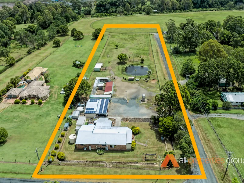 THE GREAT AUSTRALIAN DREAM!! HORSES & TRUCKS