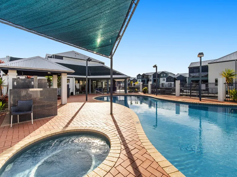 Dolphins at your doorstep!