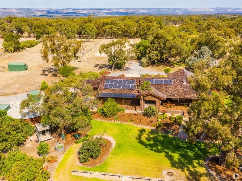 Lentara: Exquisite Equestrian Entertainer