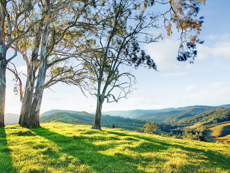 IF YOU WANT PEACE AND QUIET. Retreat style rural property.