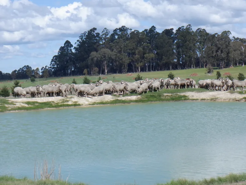 Bask in a Lifestyle Investment 64.8 Ha (approx. 160 Ac)