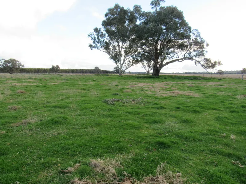 MAGNIFICENT FARMING PROPERTY SUITED TO BOTH GRAZING & CROPPING