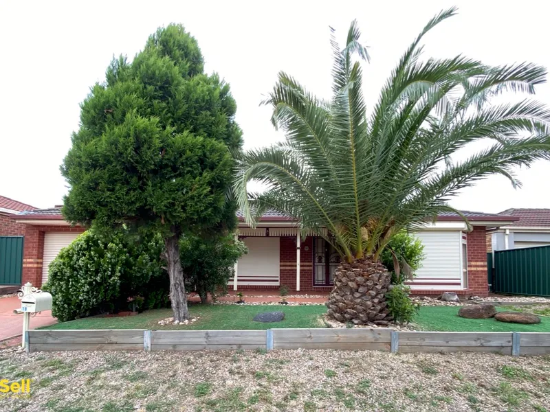 Great family home in a great location!