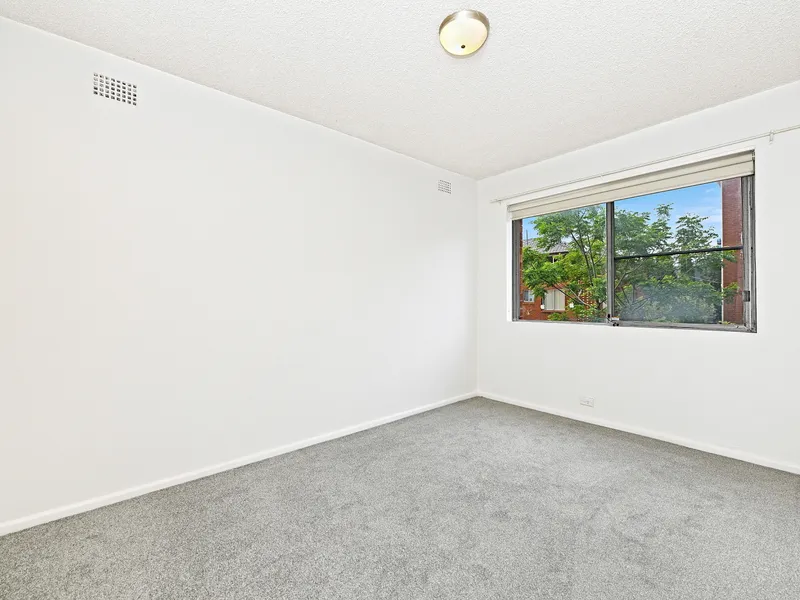 Large 2BR  **FRESH PAINT + NEW CARPET**