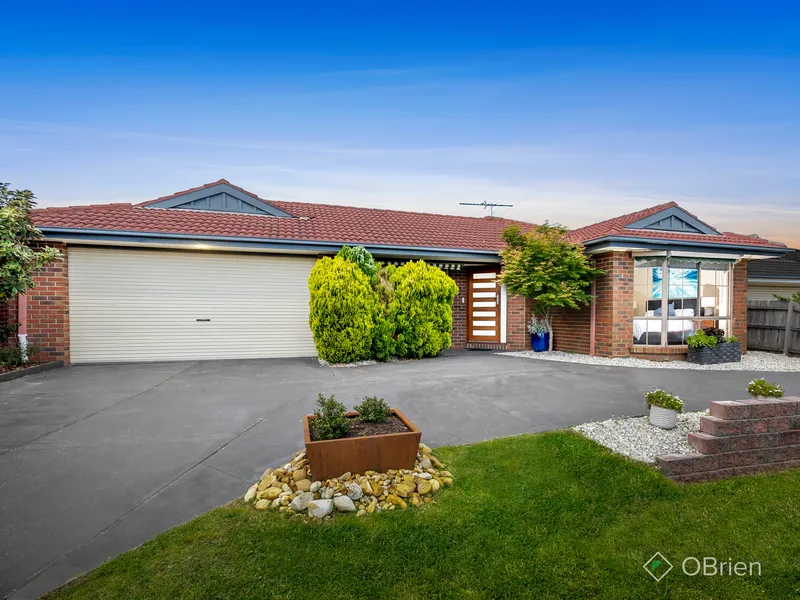 Family And Entertaining Bonanza