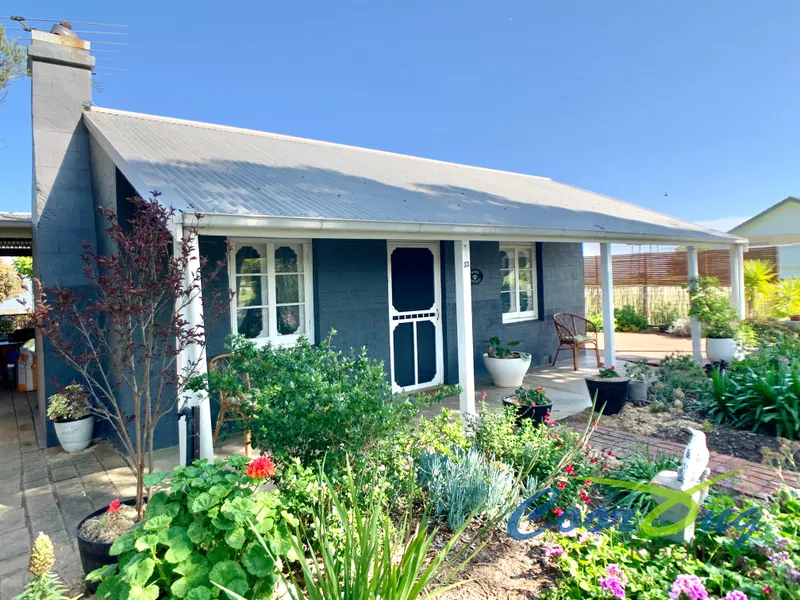 Waterfront and cute as a button