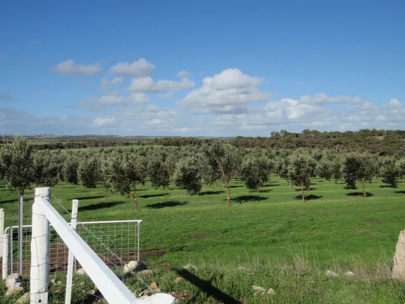Rural Paradise - Huge Price Reduction!